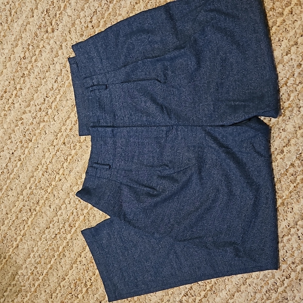 Ann Taylor Factory XL blue trouser